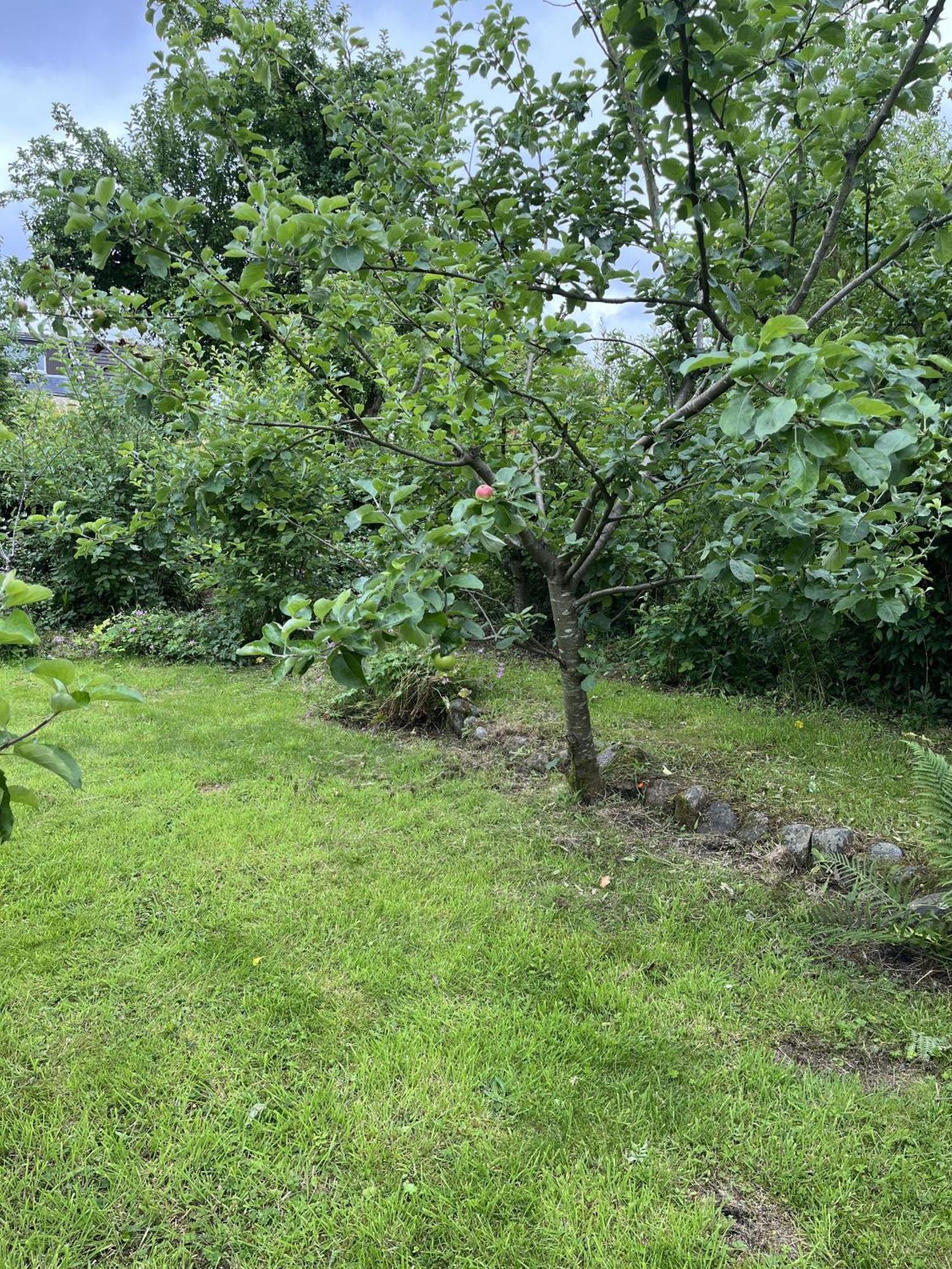Apple Cottage Newton Stewart Buitenkant foto